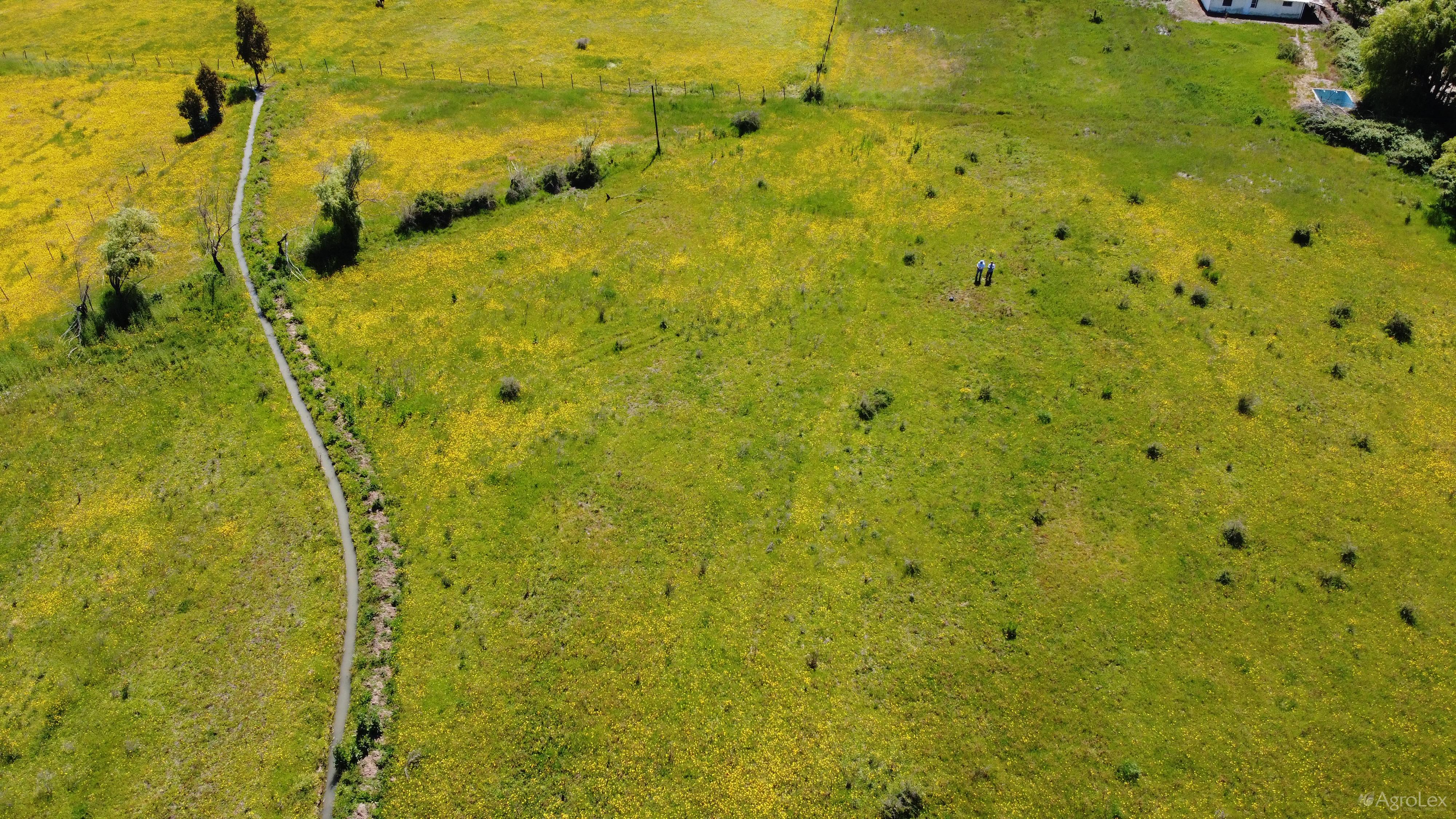 Venta parcela de agrado de 5.000 m2 