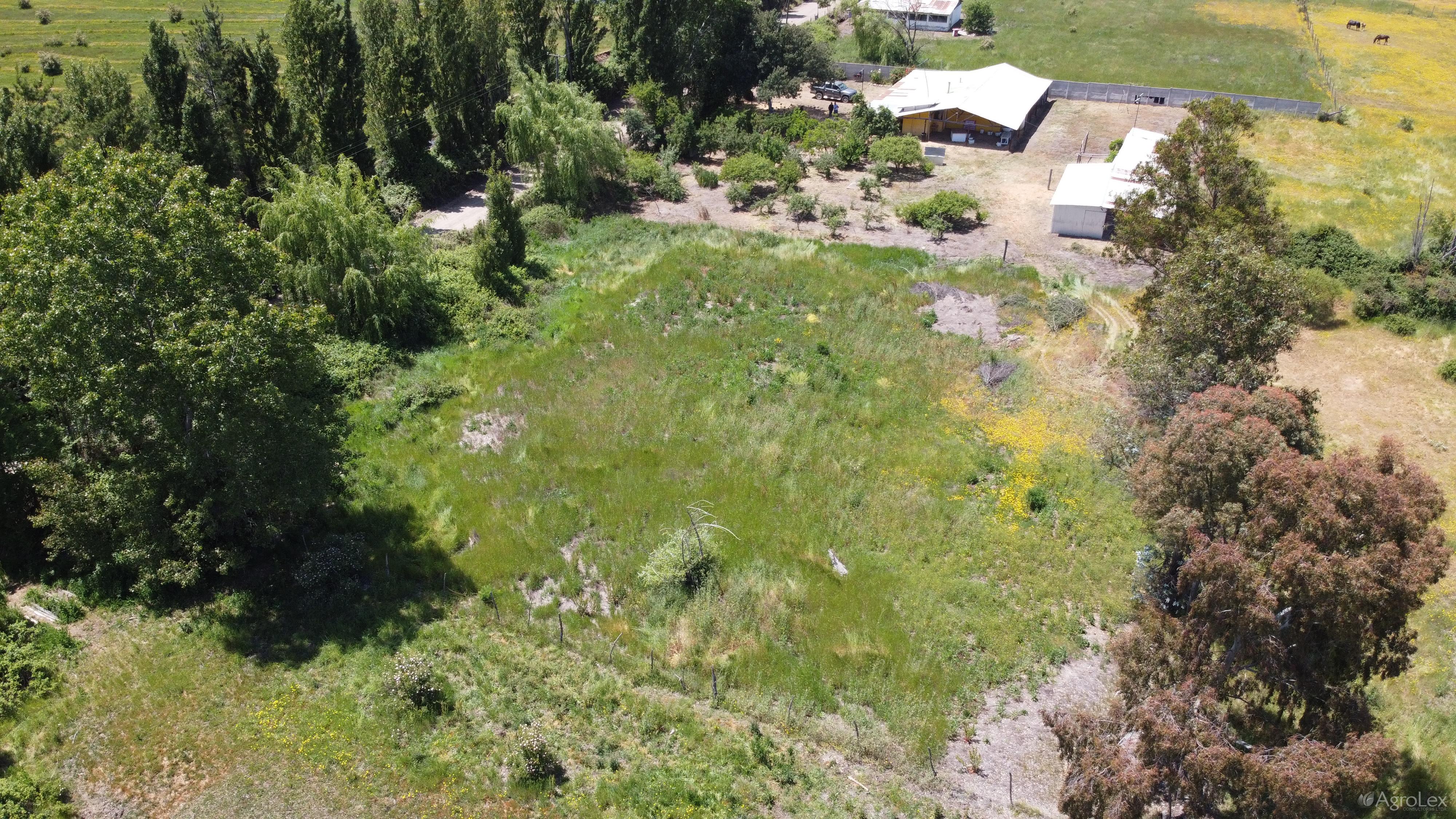 Venta parcela de agrado de 5.000 m2 con casa, galpón, bodega y huerto frutal